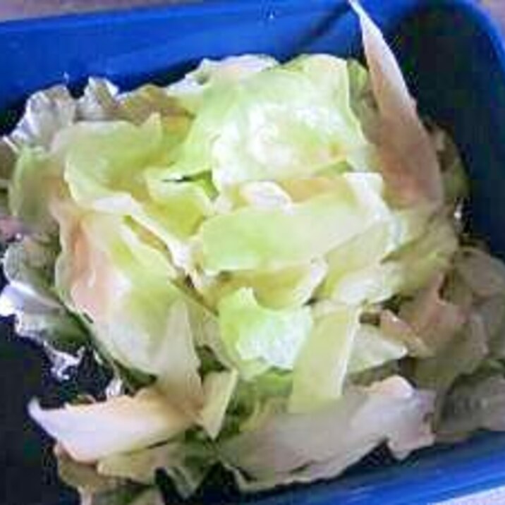 春キャベツ レンチン お弁当 レシピ 作り方 By Toki 楽天レシピ 春キャベツ レンチン お弁当 レシピ 作り方 By Toki 楽天レシピ